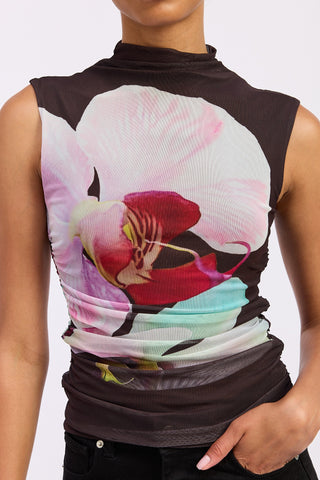 Orchid Top